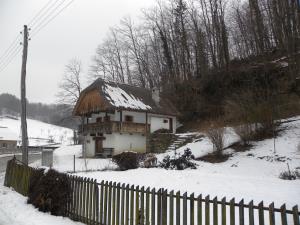 Dobrina - Vukova domačija pred začetkom projekta, januar 2108